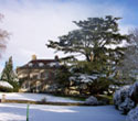 Christmas at Holbrook